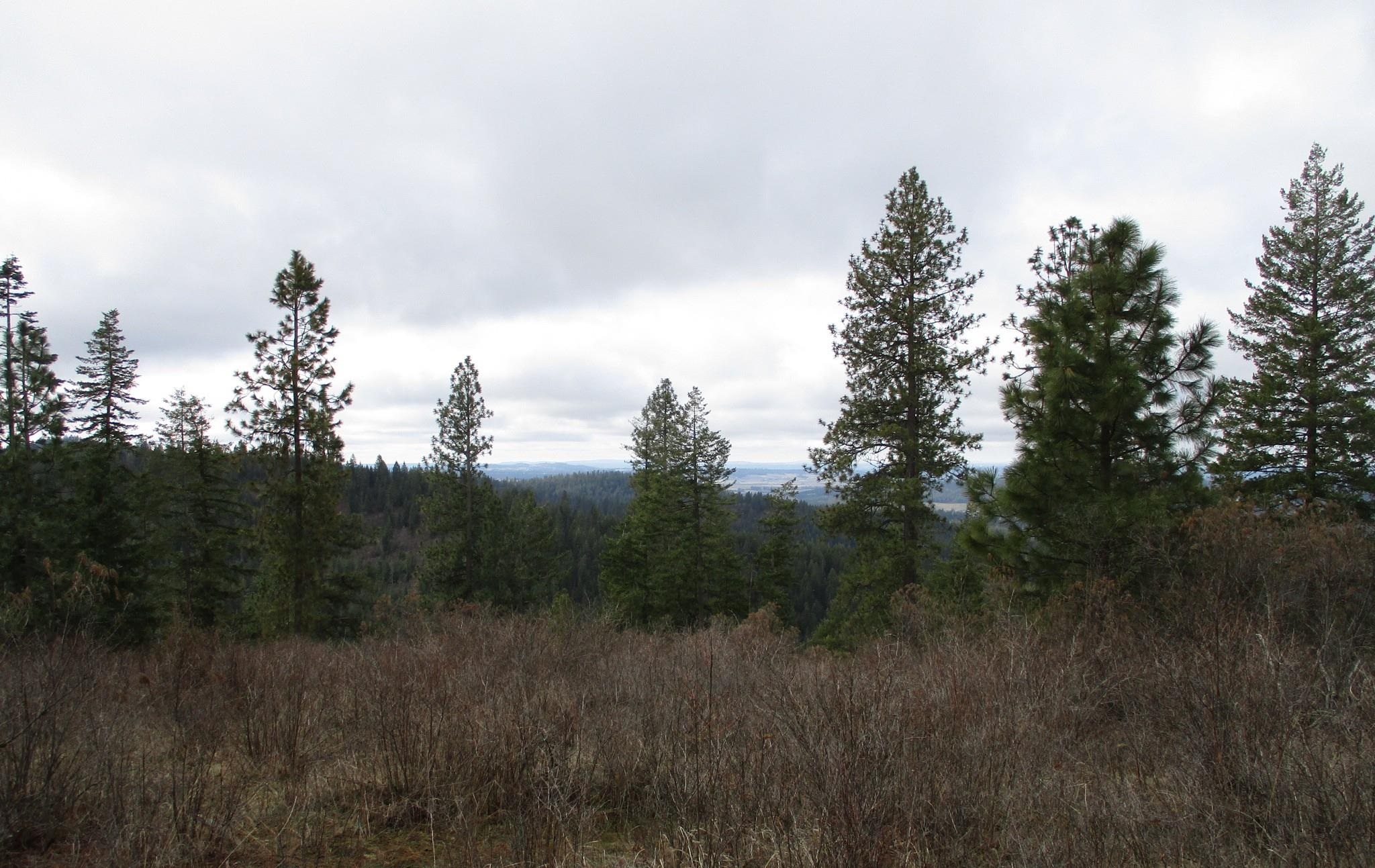 18-xxx East Miner Road Mead, WA 99021 - Photo 26 of 40