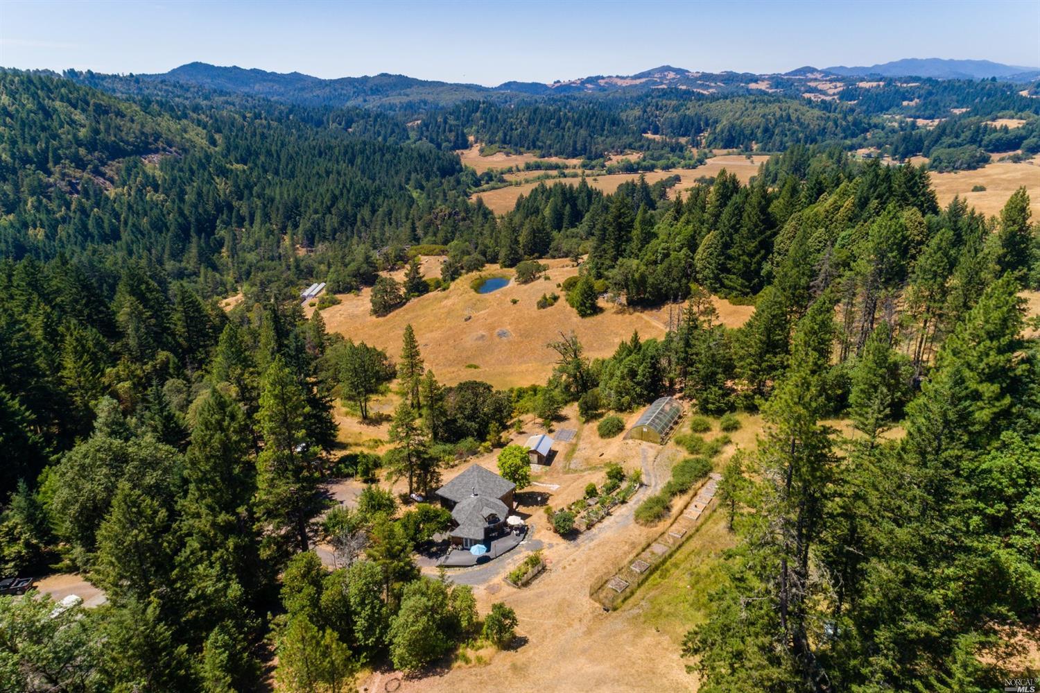 7700 3rd Gate Road Willits, CA 95490 - Photo 1 of 1 a view of a forest with a lake