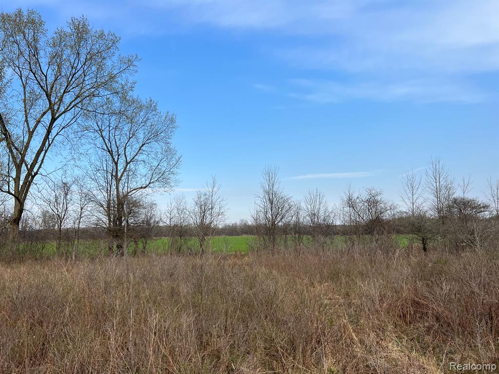 28 28 Mile Road New Haven, MI 48048 - Photo 13 of 20