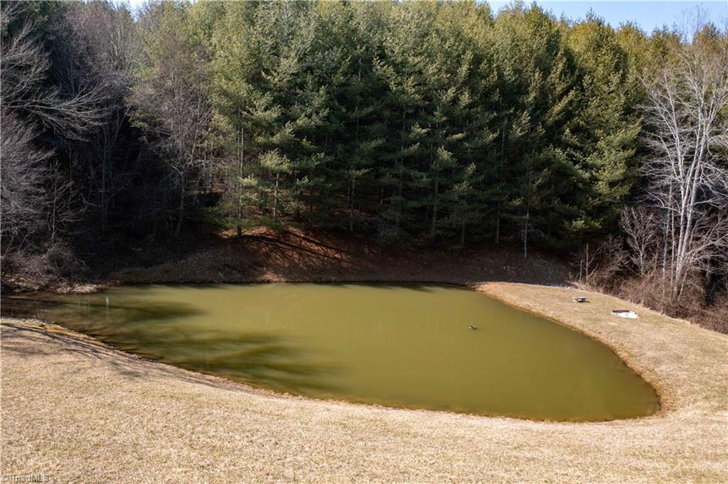 77 Pine Valley Drive Sparta, NC 28675 - Photo 4 of 39