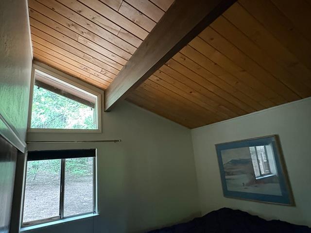 2884 Karock Road Dorrington, CA 95223 - Photo 15 of 20 master bedroom vault and windows