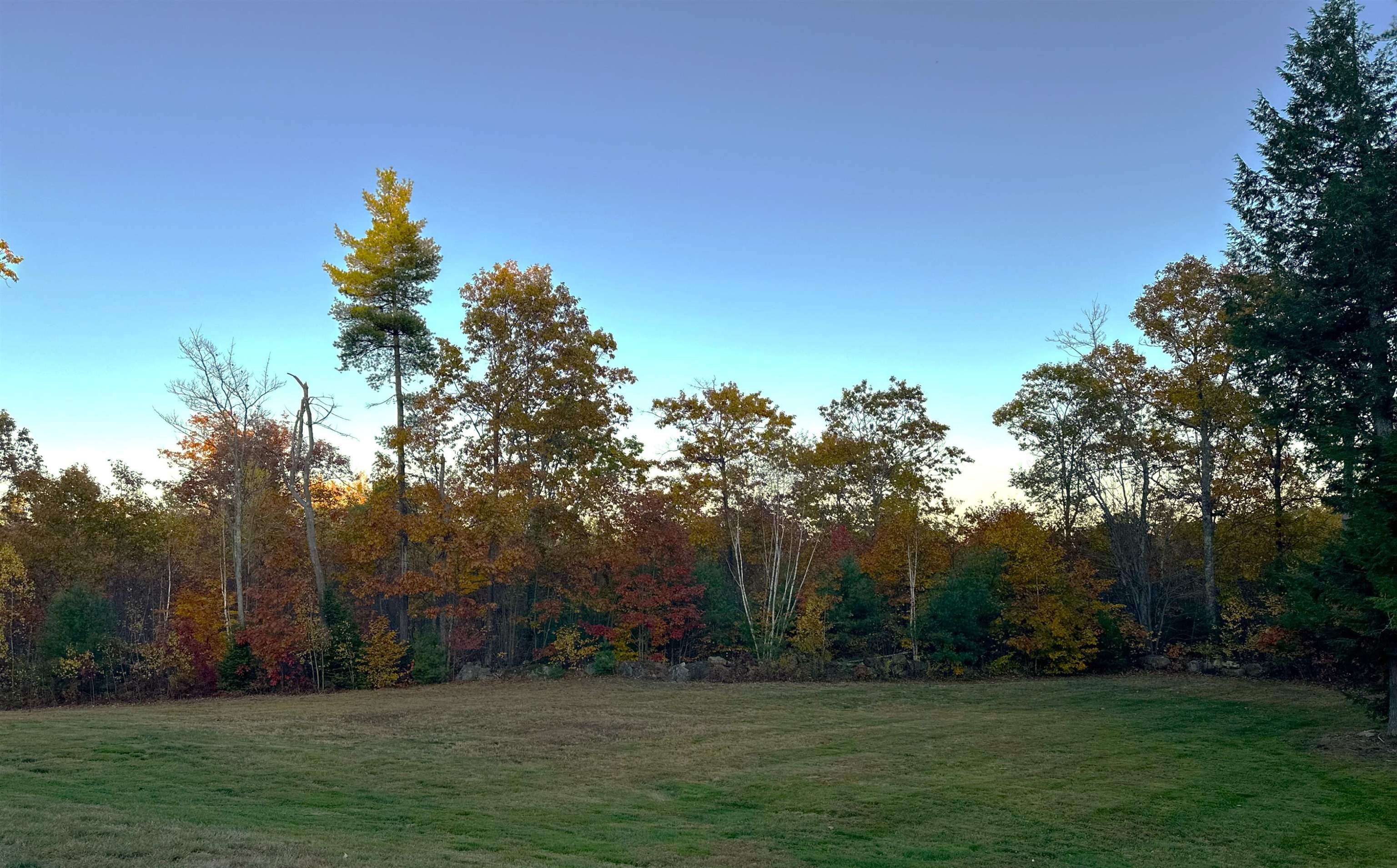 76 Curries Way Brookfield, NH 03872 - Photo 58 of 60