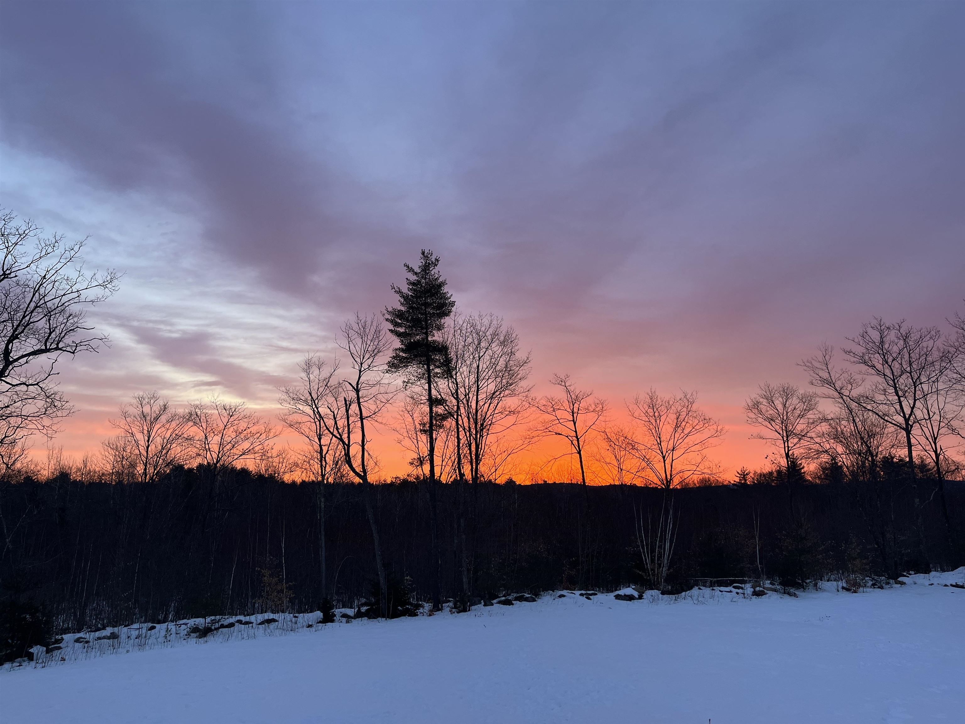 76 Curries Way Brookfield, NH 03872 - Photo 59 of 60