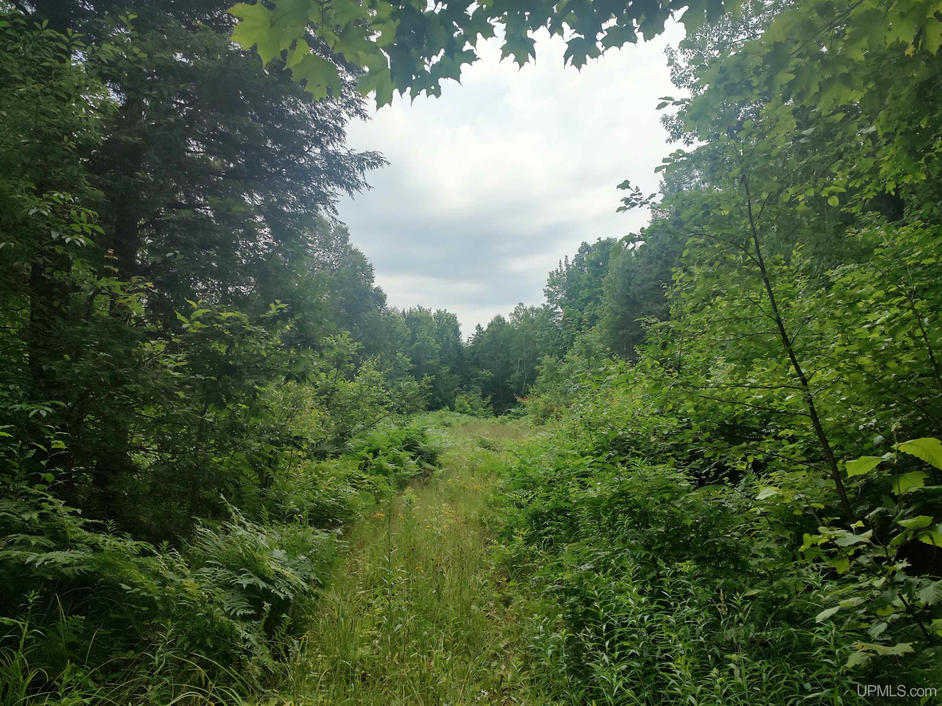 60-acres Sleepy Hollow Road Ishpeming, MI 49849 - Photo 4 of 29