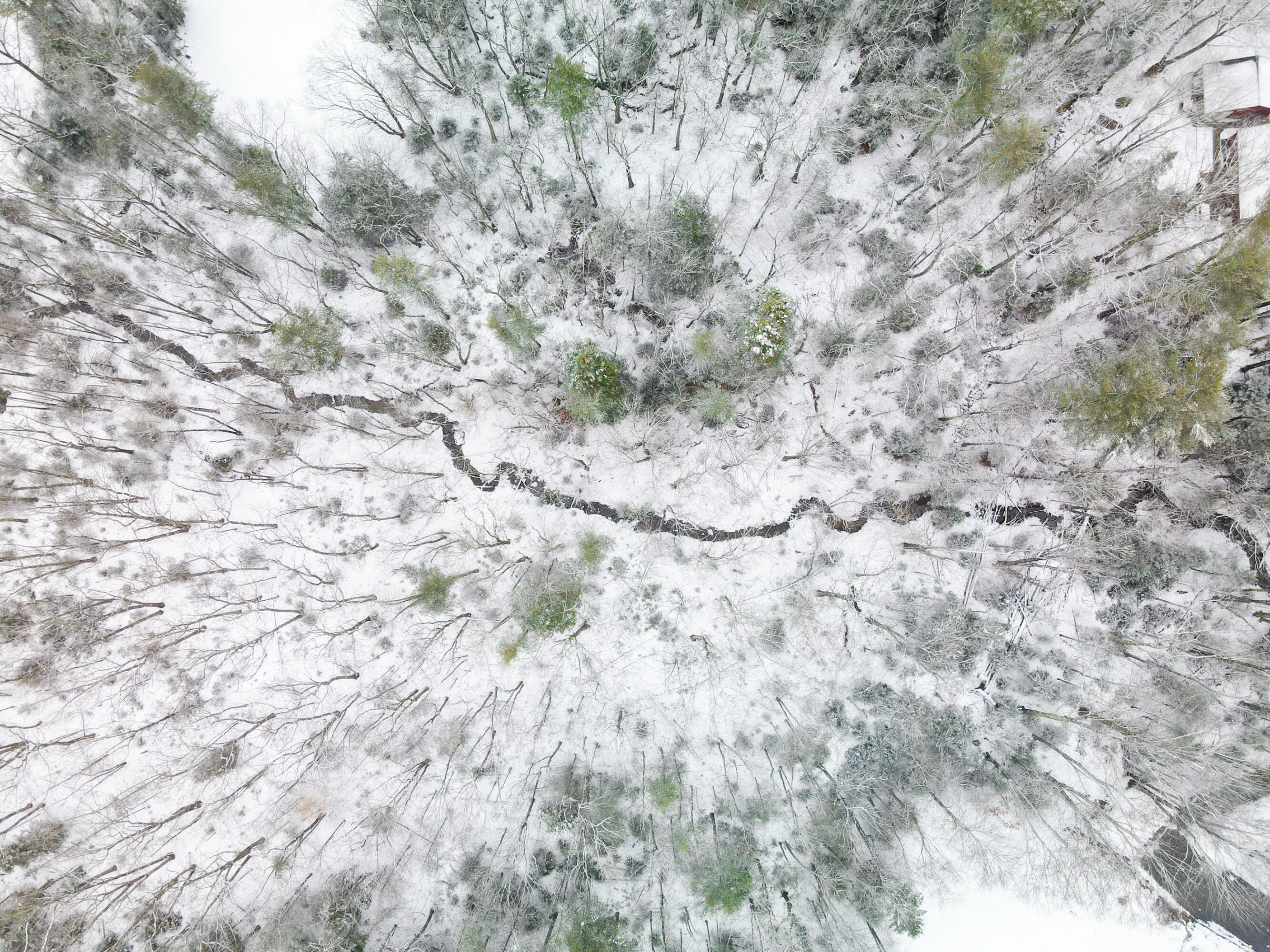 133 Berrys Mill Road West Bath, ME 04530 - Photo 8 of 26 DJI_0431