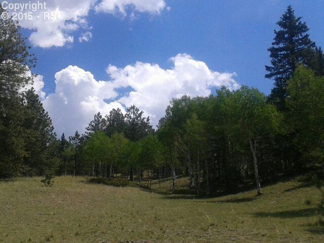 826 Charming View Divide, CO 80814 - Photo 5 of 15