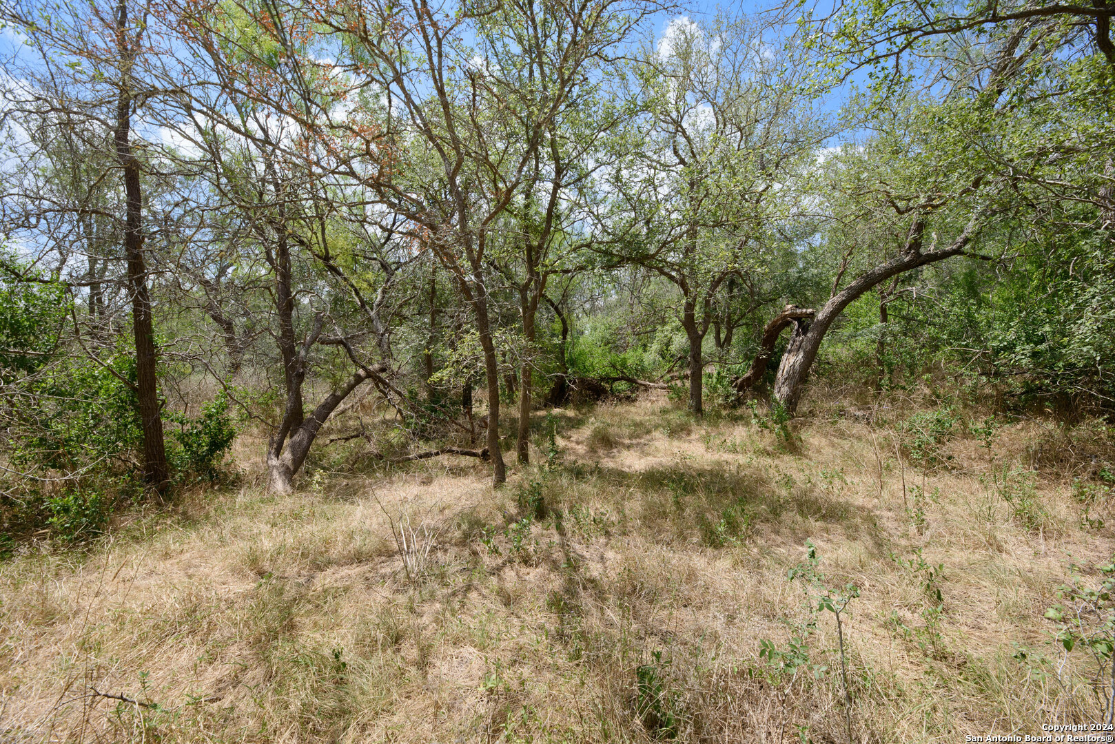 Tbd Santa Clara Road Seguin, TX 78155 - Photo 13 of 23 a view of a yard with large trees