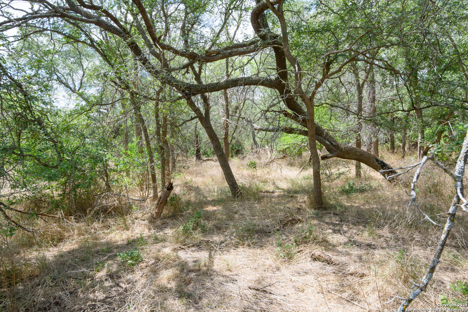Tbd Santa Clara Road Seguin, TX 78155 - Photo 14 of 23 a view of a yard