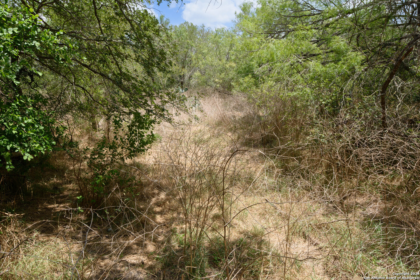 Tbd Santa Clara Road Seguin, TX 78155 - Photo 20 of 23 a view of a yard with a tree