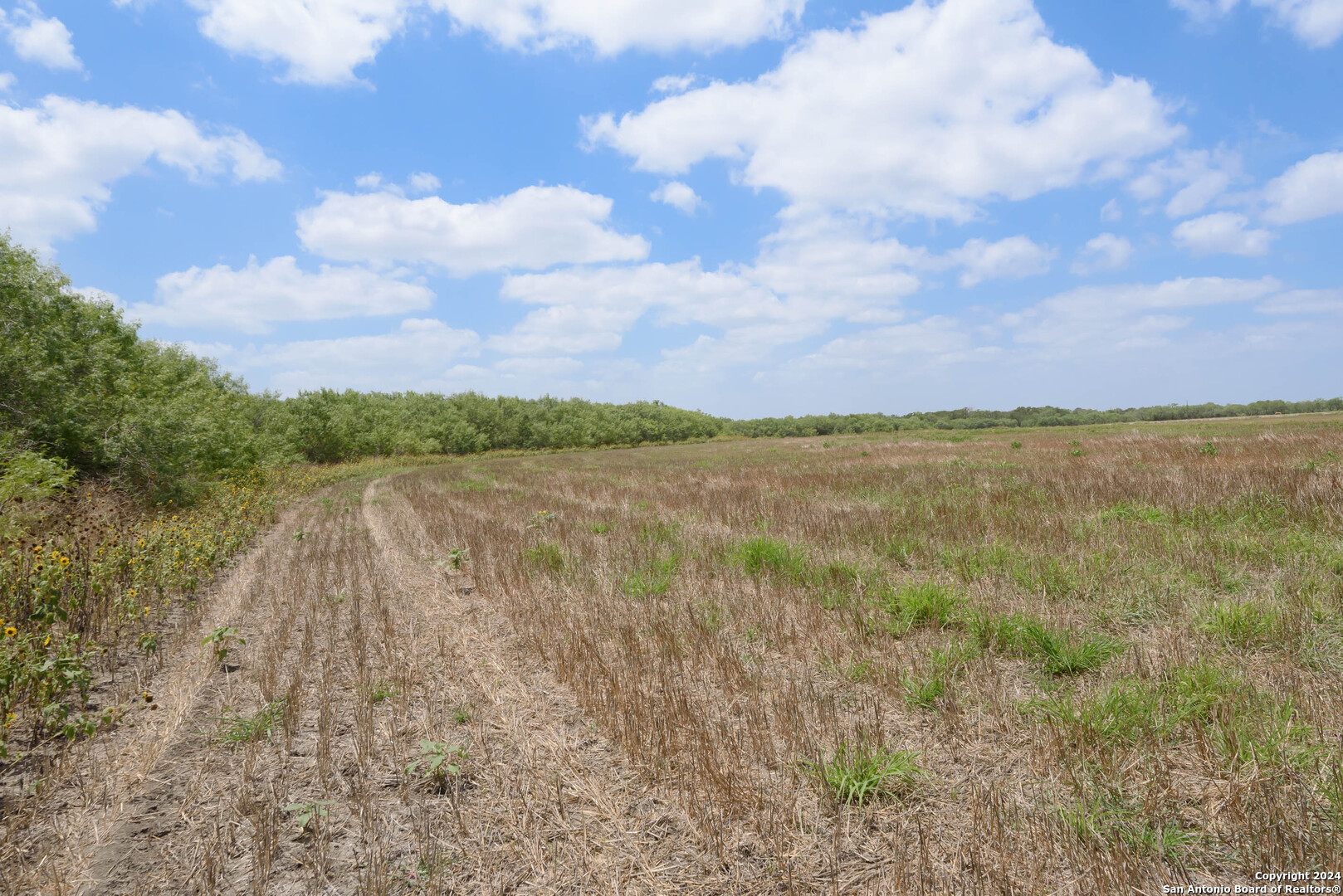 Tbd Santa Clara Road Seguin, TX 78155 - Photo 8 of 23 a view of a lake with houses in the back