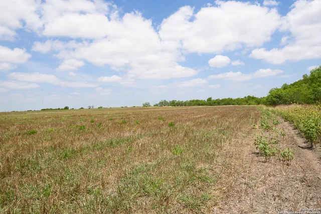 a view of outdoor space and trees