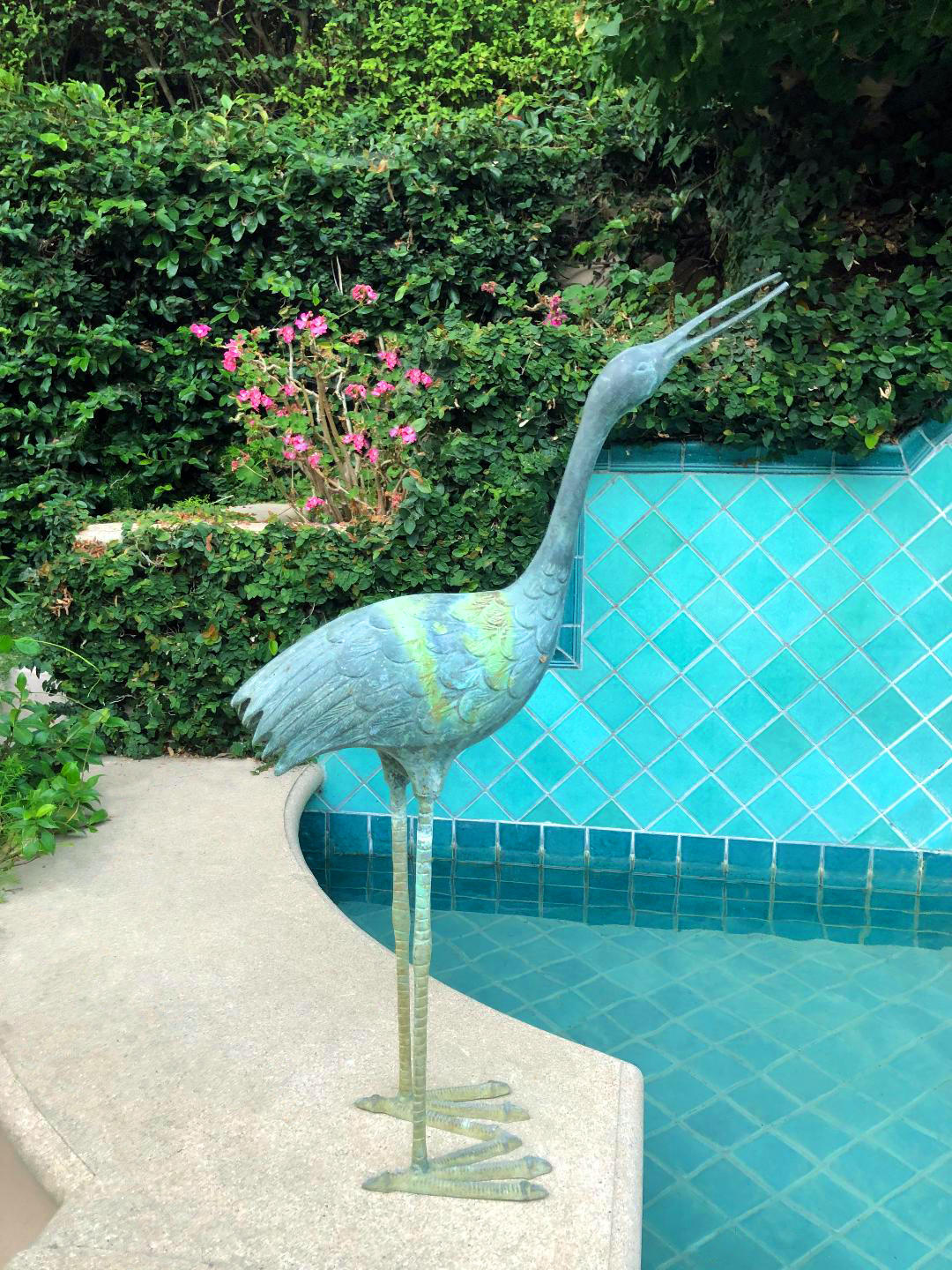 3756 Foothill (private Lane) Road Santa Barbara, CA 93110 - Photo 43 of 56 Beauty in Garden