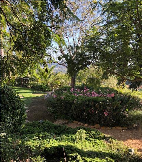 3756 Foothill (private Lane) Road Santa Barbara, CA 93110 - Photo 49 of 56 Everyday Garden Strolls are Amazing