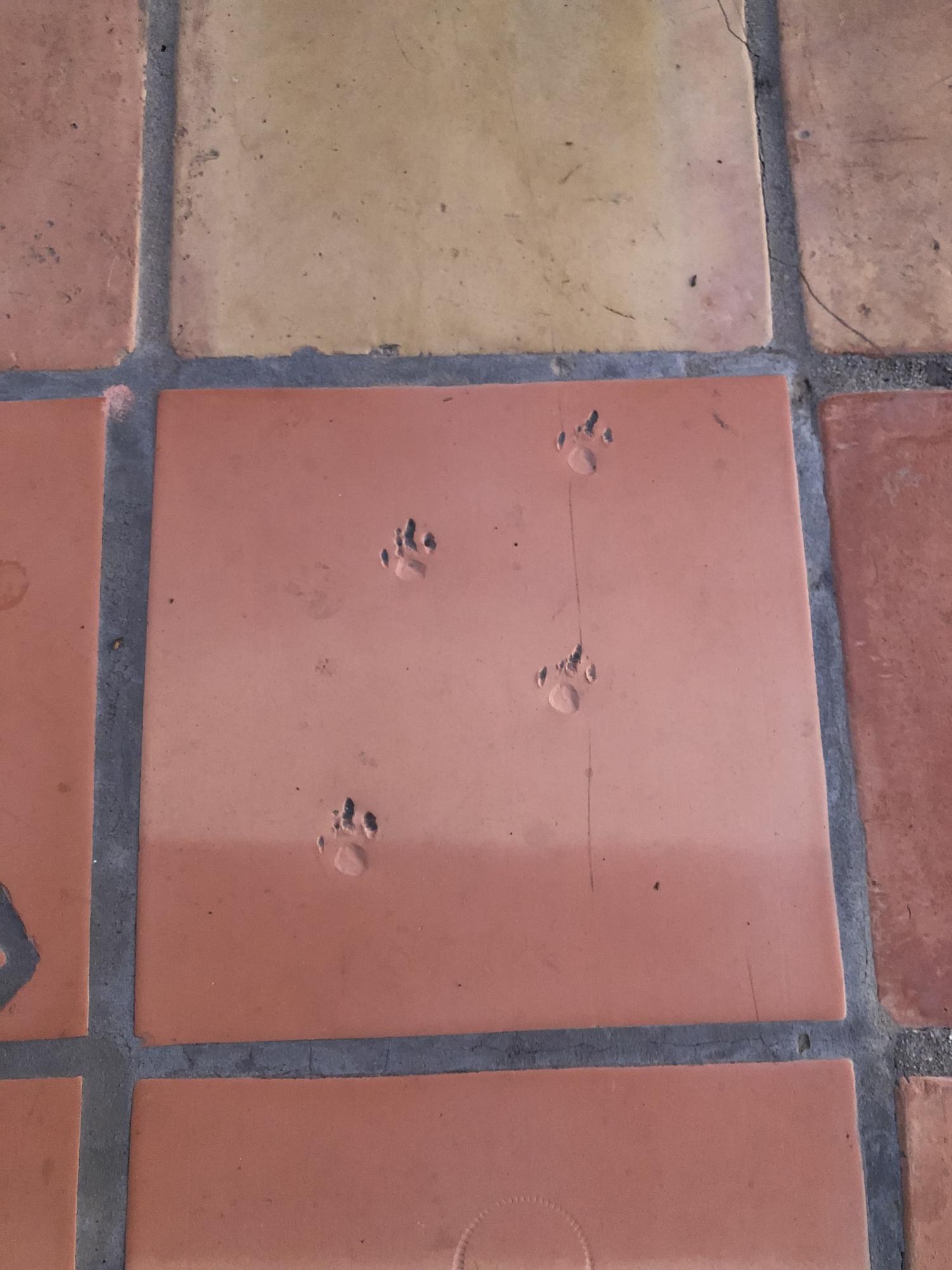 3756 Foothill (private Lane) Road Santa Barbara, CA 93110 - Photo 52 of 56 Authentic Saltillo Greeting to Visitors