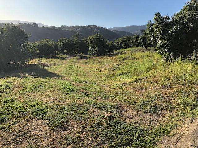 3756 Foothill (private Lane) Road Santa Barbara, CA 93110 - Photo 54 of 56 Plenty of Acreage for Horses & Fields