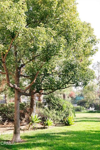 a view of yard with green space