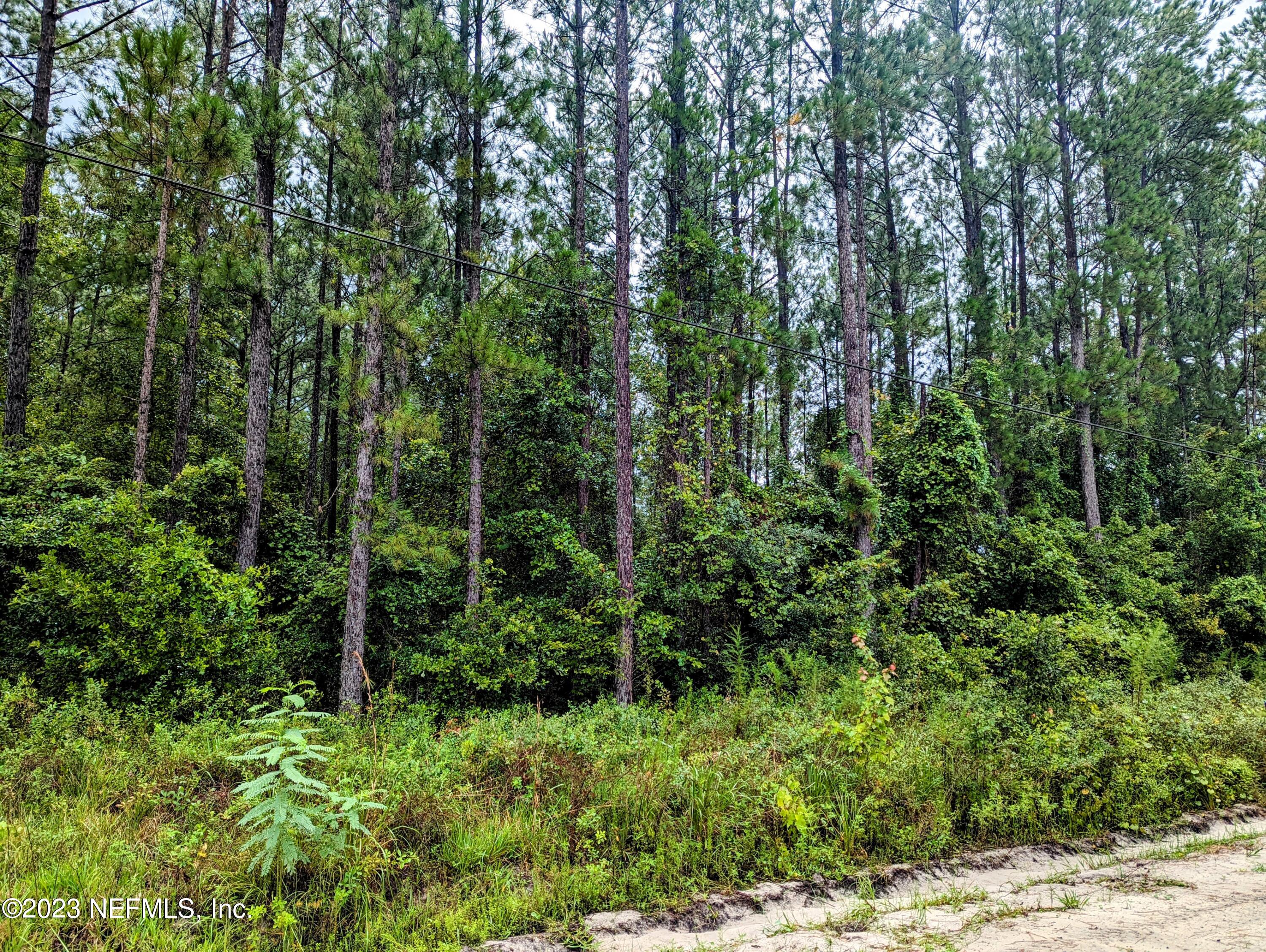 4436 Lori Loop Road Keystone Heights, FL 32656 - Photo 2 of 12 a view of a lush green forest