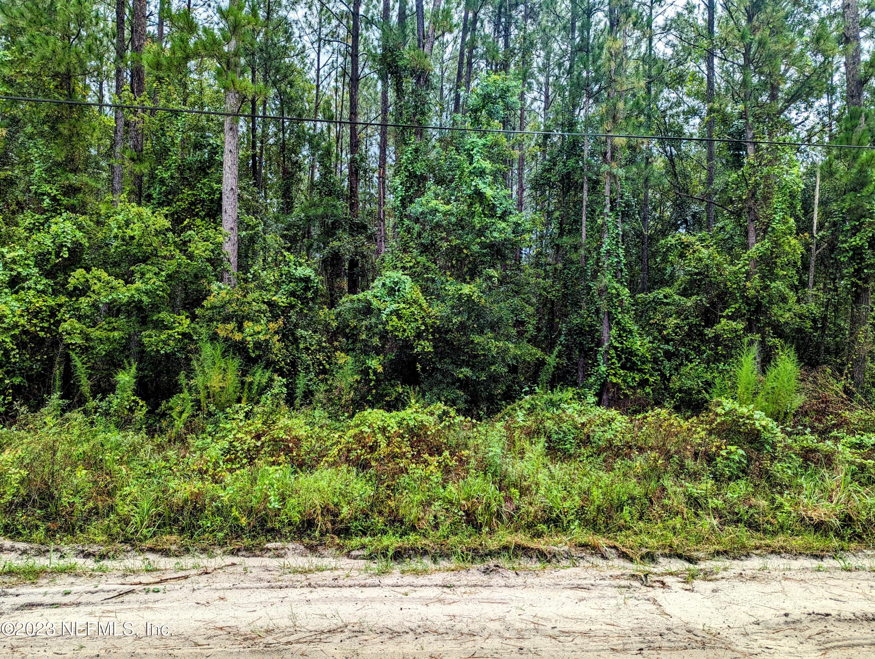 4436 Lori Loop Road Keystone Heights, FL 32656 - Photo 3 of 12 an aerial view of residential house with outdoor space and trees all around