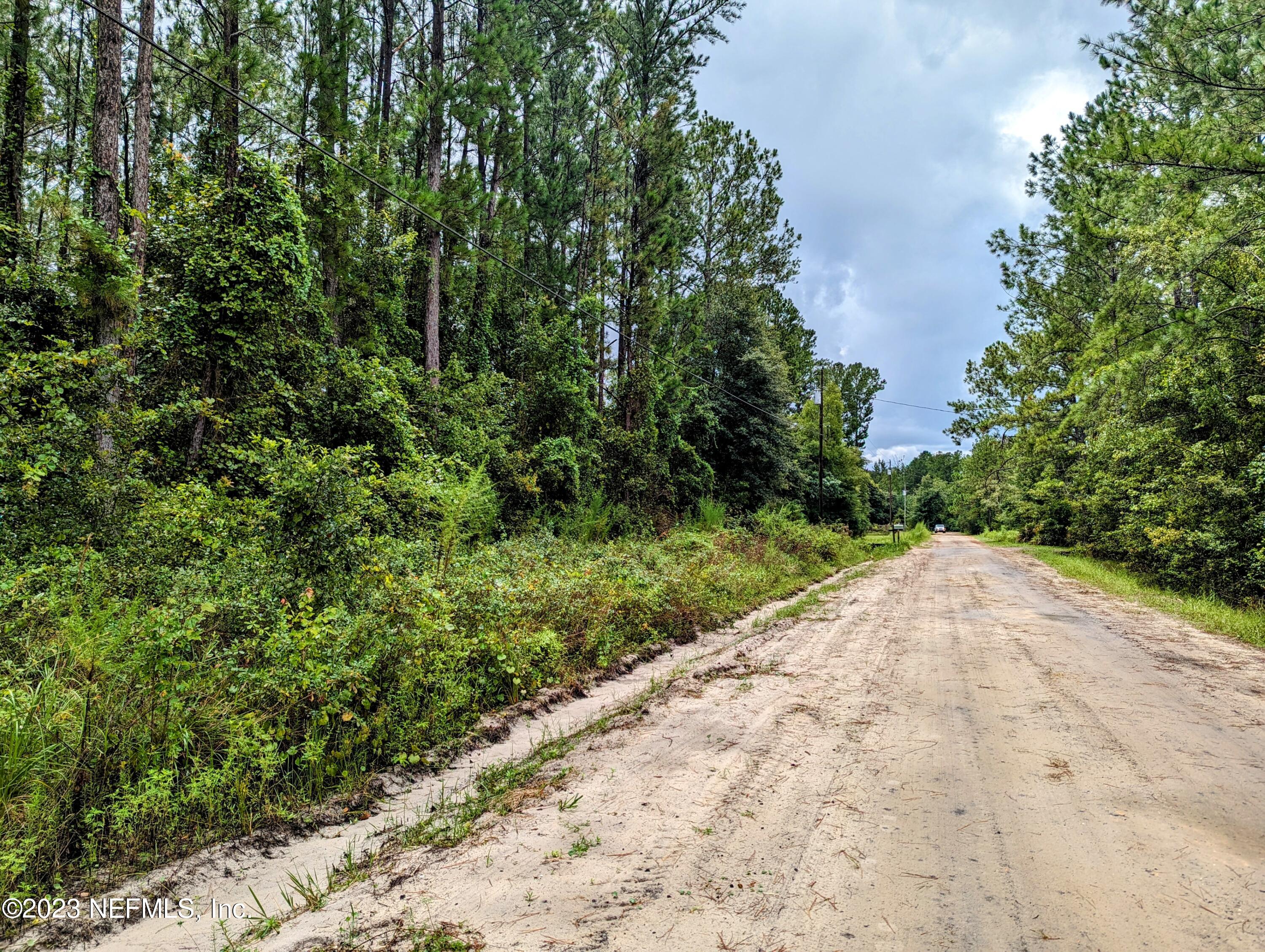 4436 Lori Loop Road Keystone Heights, FL 32656 - Photo 4 of 12 a view of a yard with plants and large trees