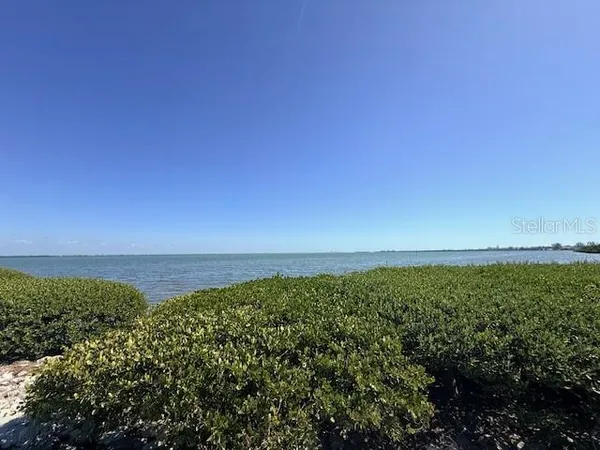 a view of a green field with lots of bushes