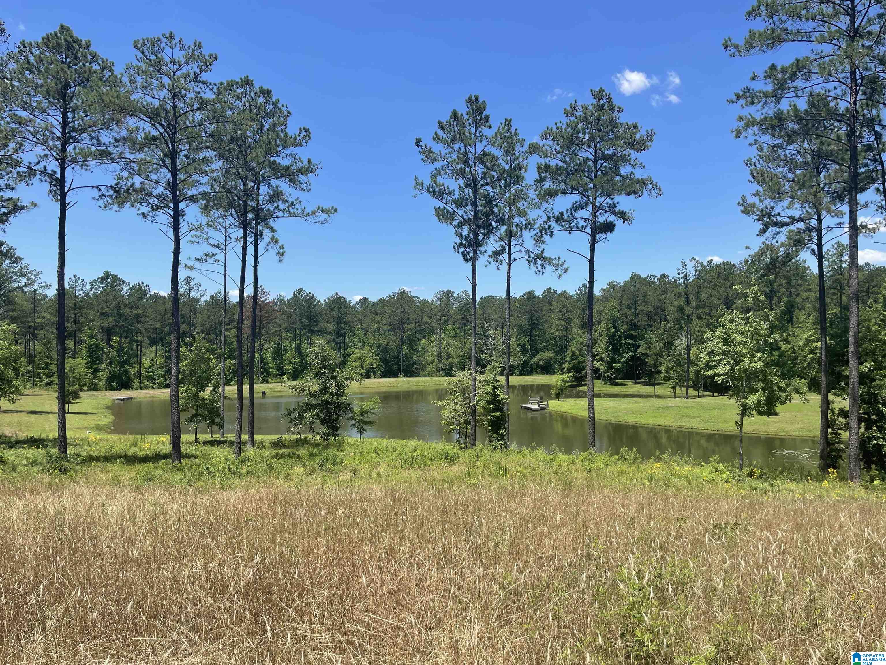 0 Chelsea Farms Road, Unit 24 Chelsea, AL 35043 - Photo 14 of 37