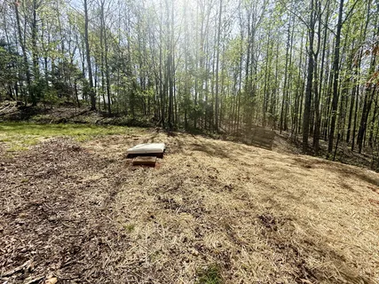 $200,000 | 119 West Richview Road, Cumberland City, TN 37050