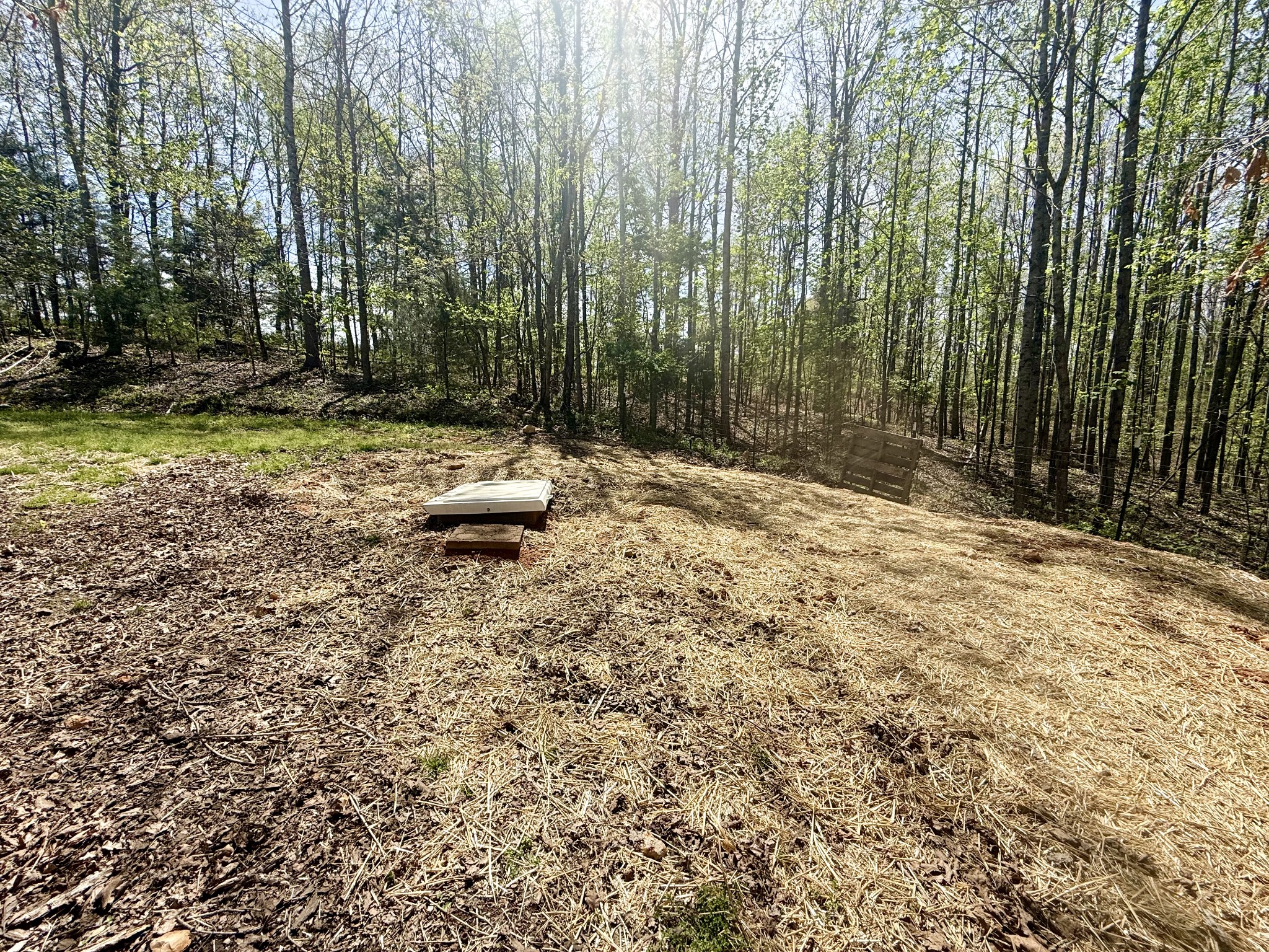 119 West Richview Road Cumberland City, TN 37050 - Photo 46 of 50