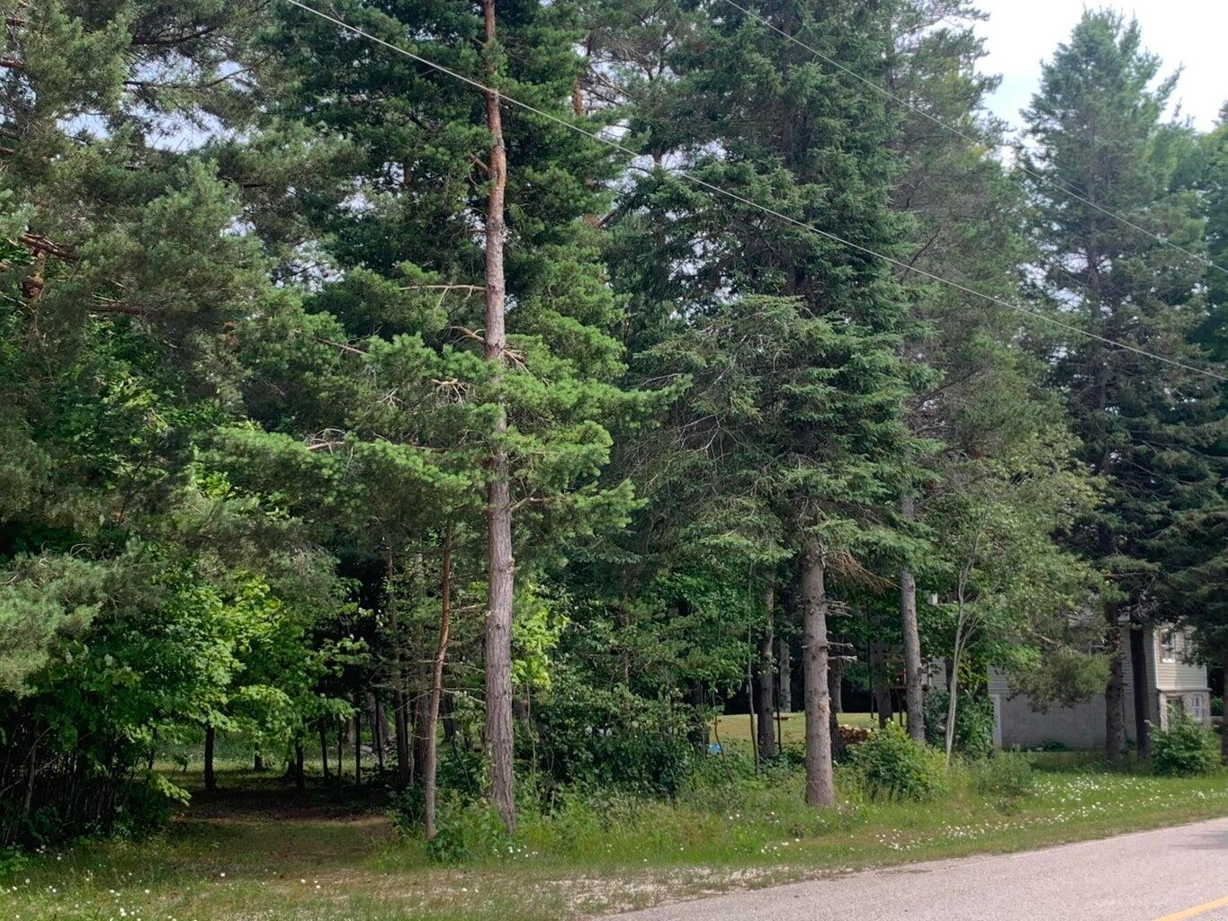 7961 Hurd Road Naubinway, MI 49762 - Photo 20 of 24 Gallery Image 20