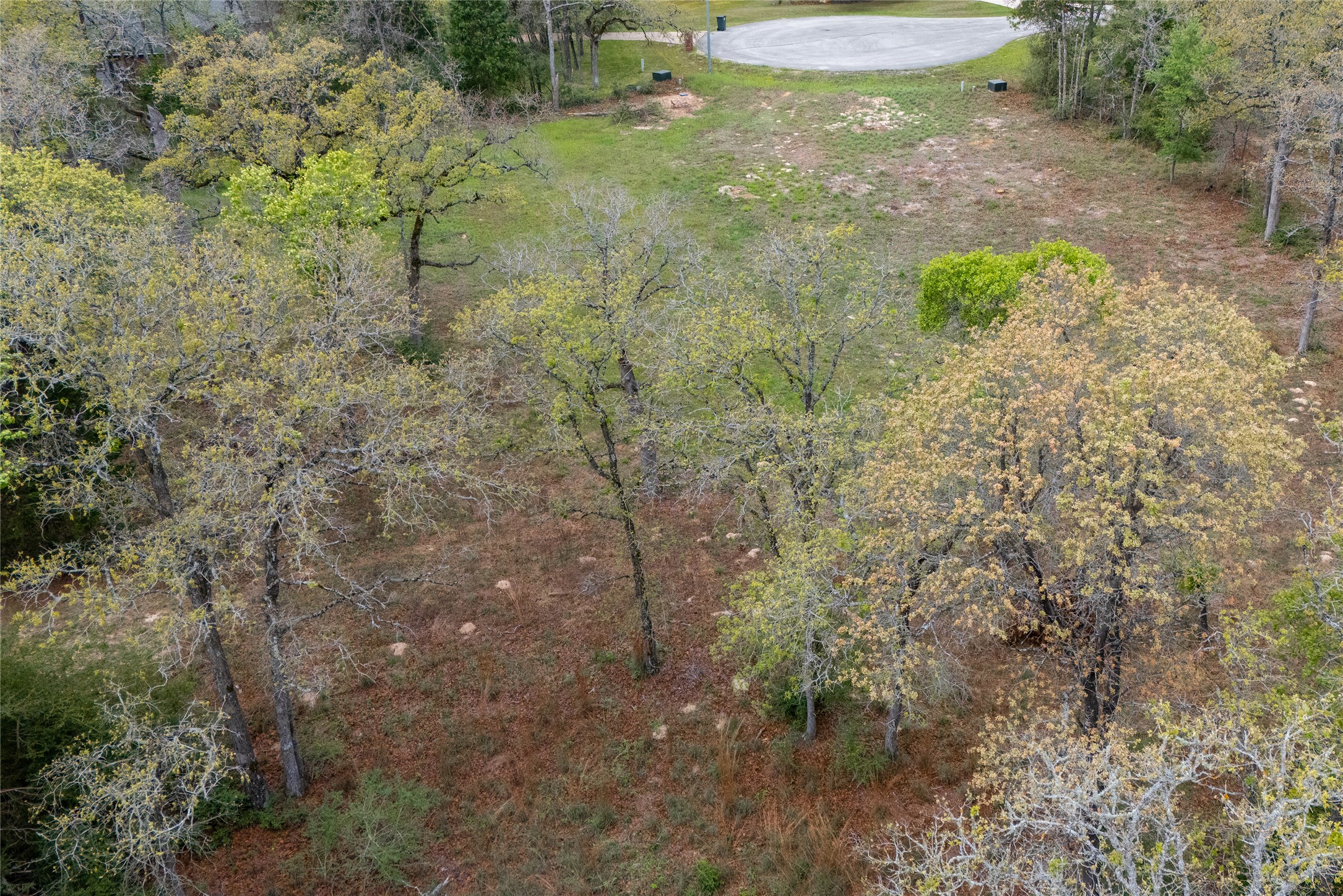 330 Arbors Circle Elgin, TX 78621 - Photo 34 of 37 Aerial view featuring a forest view