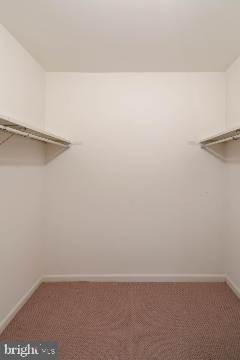 6260 Edsall Road, Unit 404 Alexandria, VA 22312 - Photo 18 of 28 Walk-in closet