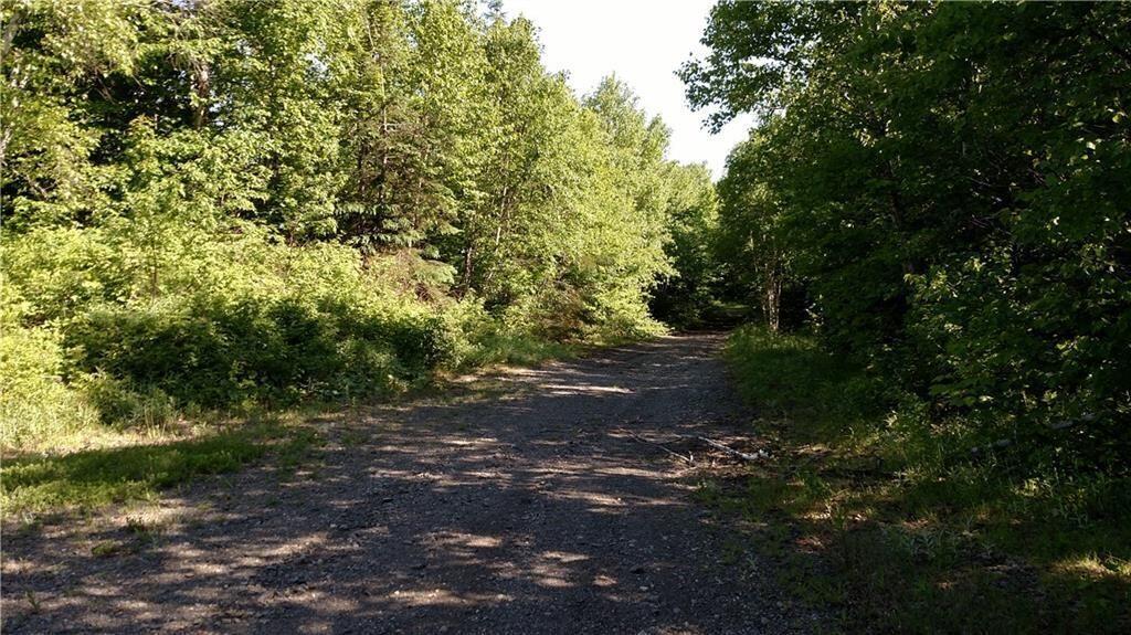 Lot 14 South Nelson Road Oakfield, ME 04763 - Photo 2 of 9 road pic