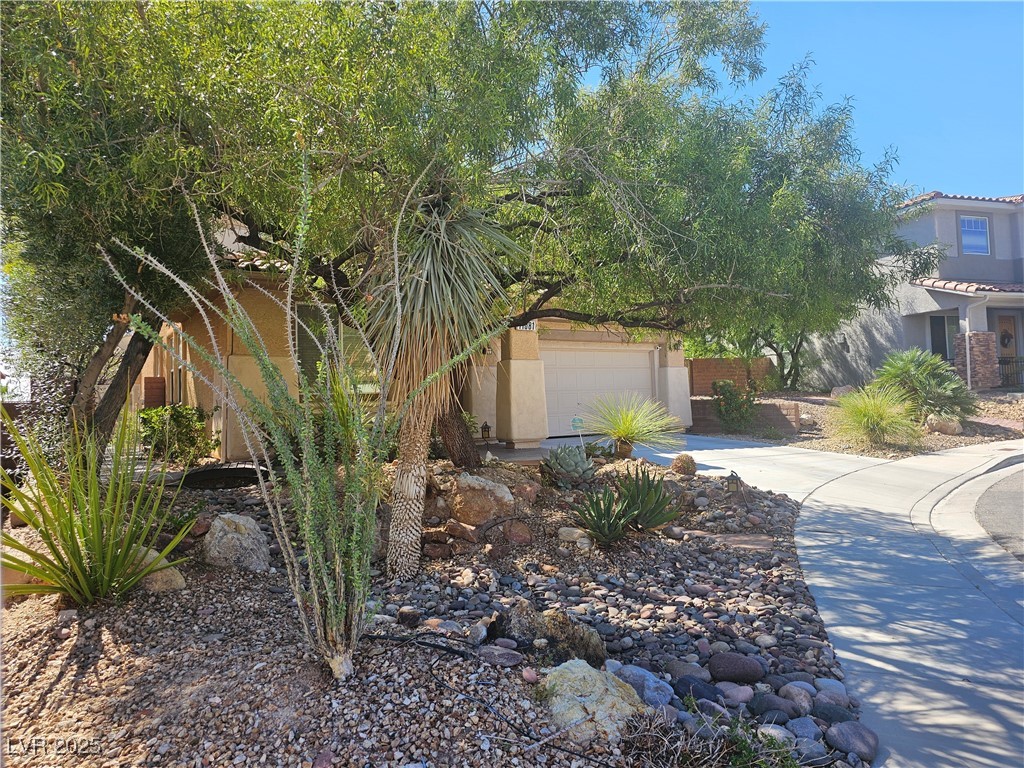 11081 Village Ridge Lane Las Vegas, NV 89135 - Photo 2 of 14 Obstructed view of property with stucco siding and driveway