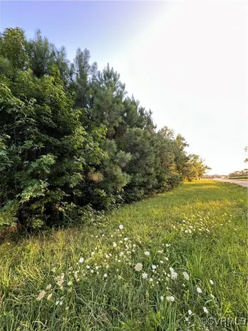 a view of a bunch of trees and bushes