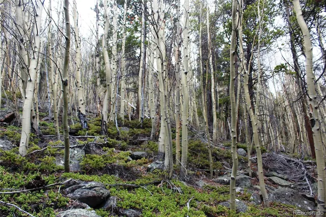 a backyard of a house with lots of green space and fountain