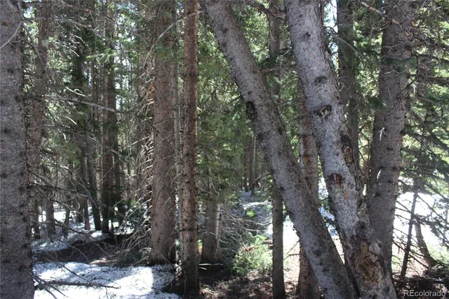 a view of a backyard of the house