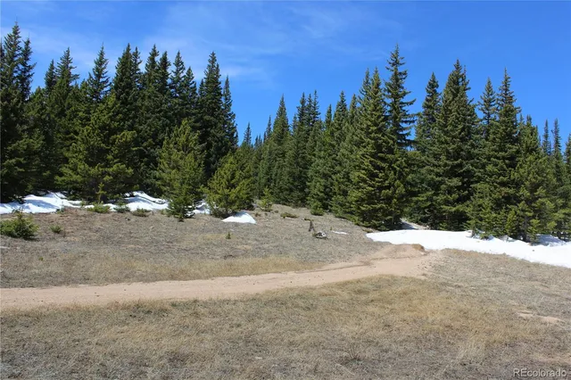a view of a tree in a yard