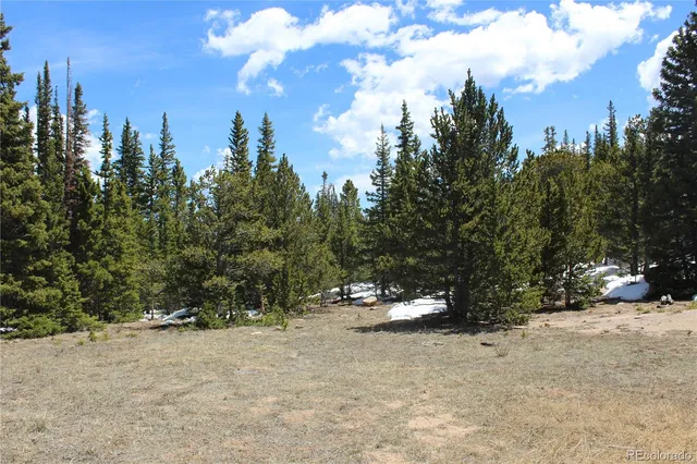a view of a trees with a tree