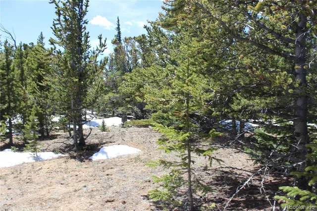 $3,500,000 | 0 Lamartine Road, Idaho Springs, CO 80452