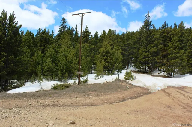 a view of a yard with a tree