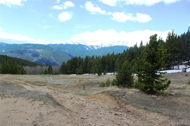 a view of a dry yard with trees