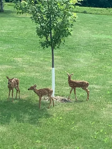 $394,500 | 3234 20th Avenue, Wilson, WI 54027