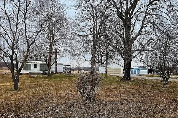 a view of a yard with a tree