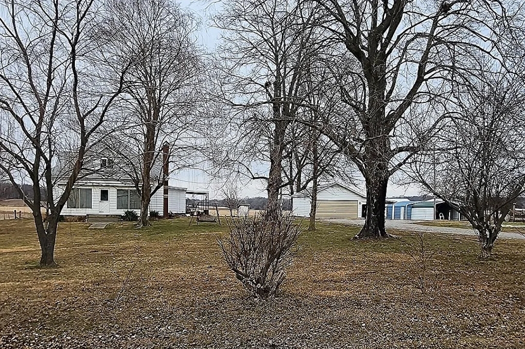 1100 John Stelle Road McLeansboro, IL 62859 - Photo 3 of 20 a view of a yard with a tree