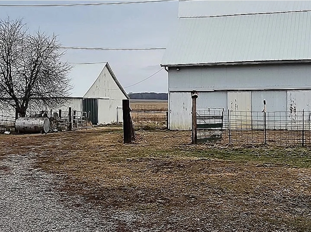 1100 John Stelle Road McLeansboro, IL 62859 - Photo 6 of 20 a view of a house with a outdoor space
