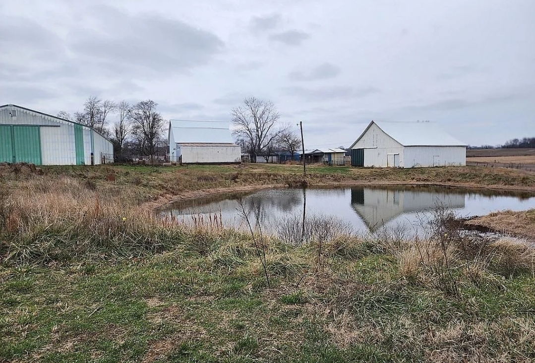 1100 John Stelle Road McLeansboro, IL 62859 - Photo 10 of 20 a view of a lake with houses in front of it