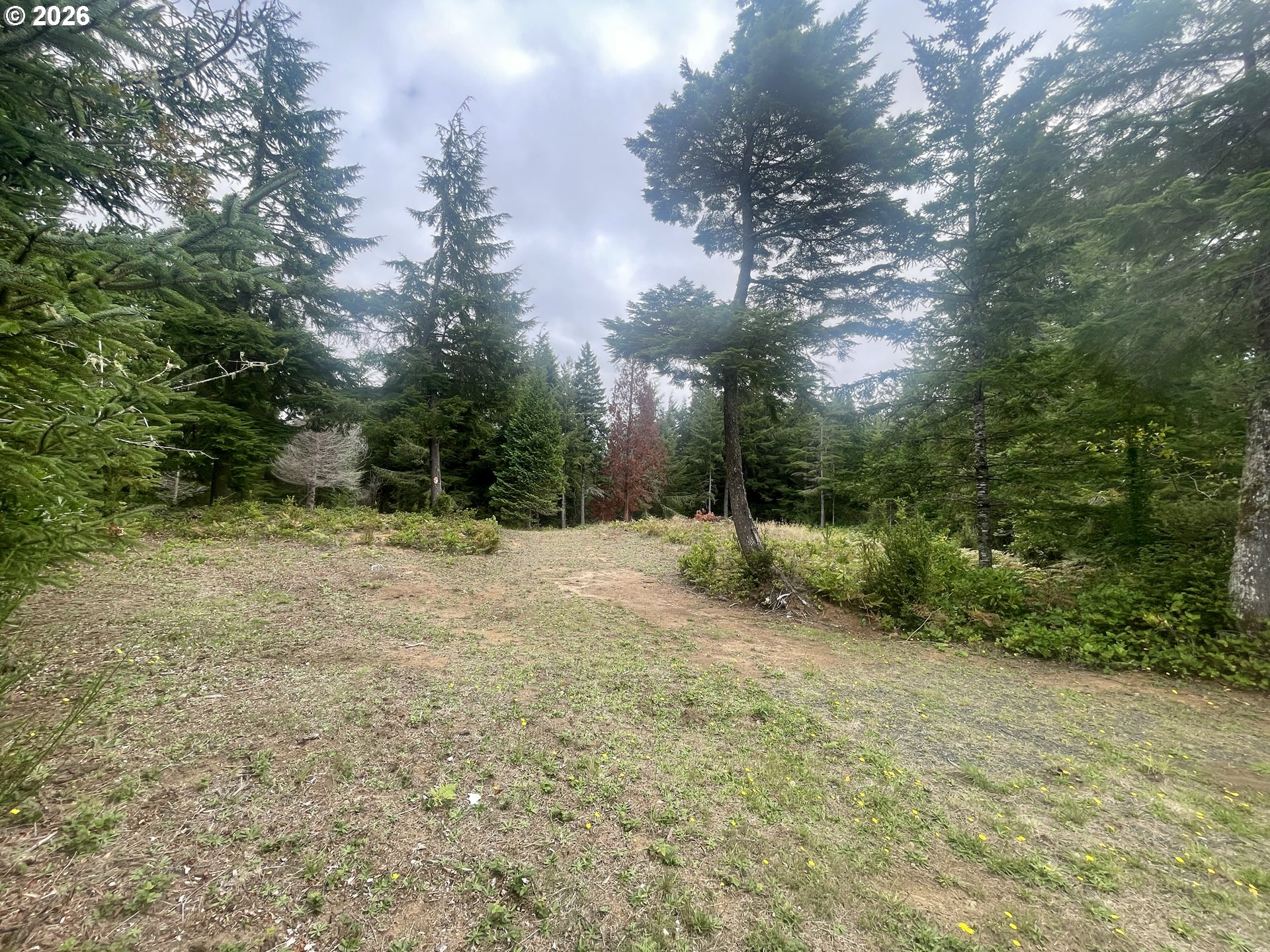 Sandpoint Road North Bend, OR 97459 - Photo 18 of 29 Gallery Image 18
