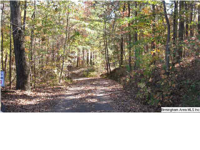 71 Merrilee Circle Remlap, AL 35133 - Photo 7 of 9