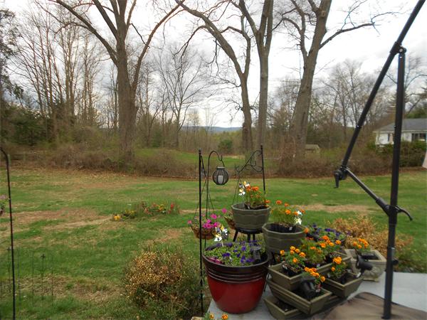 1 Ranch Avenue Easthampton, MA 01027 - Photo 5 of 30 Gallery Image 5