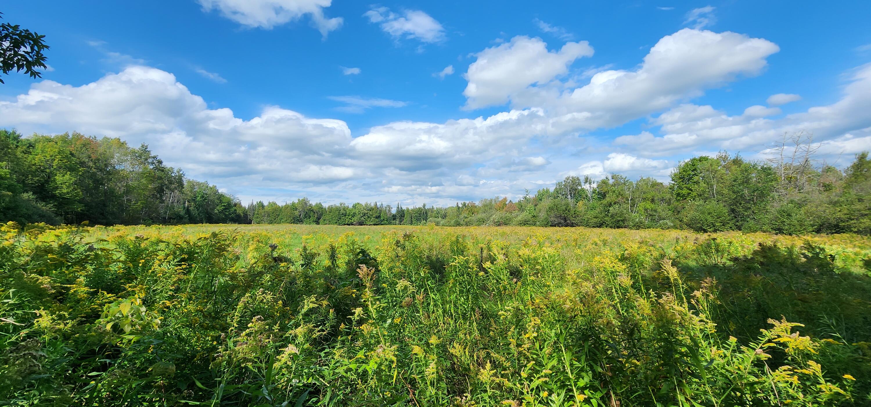 1058 Exeter Road Exeter, ME 04435 - Photo 8 of 24 1058 Exeter rd, Exeter, ME
