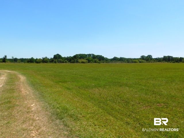 5884 Saroadine Road Brewton, AL 36426 - Photo 43 of 45